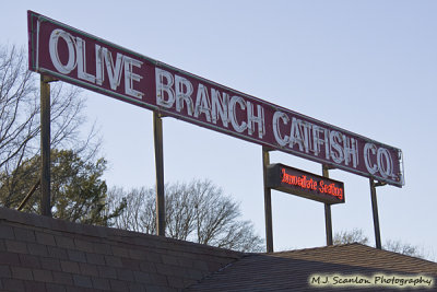 40 Olive Branch Catfish Ride.jpg