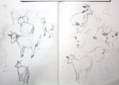 6