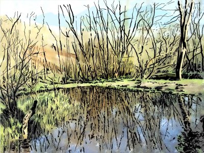 Pond Reflections (pastel colour - AS filter)