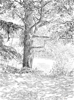 Tree (Reed pen in Painter)