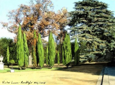 Chiswick House Trees