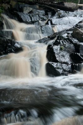DSC_8792.jpg