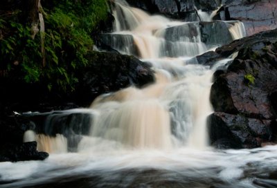 DSC_8796.jpg