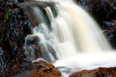 DSC_8824.jpg