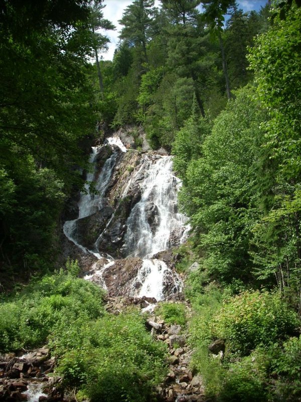 020-Agawa Canyon Train Ride.jpg