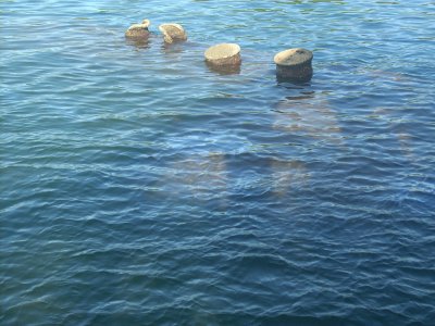 DSCN0463.JPG