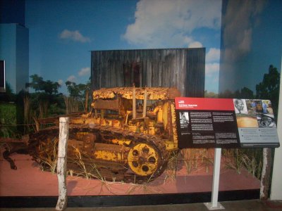 DSCN0499.JPG