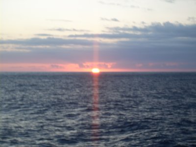 DSCN0556.JPG