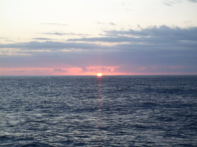 DSCN0558.JPG