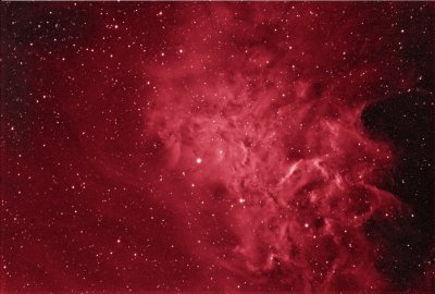 Flaming Star Nebula