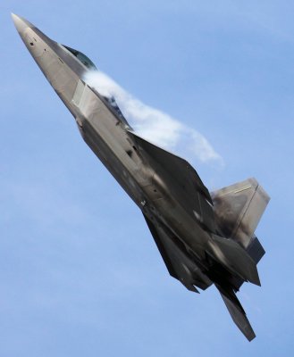 F-22A Raptor 4.jpg