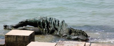 Venezia alla partigiana.jpg