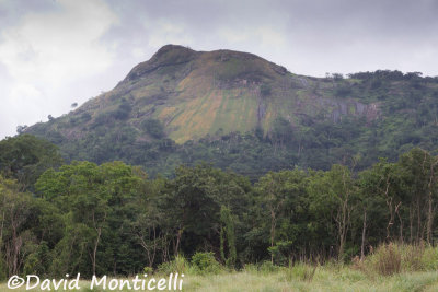 Hills en route to Loma Mountains (Sierra Leone)