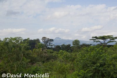 Distant view of Loma Mountains and Mount Bintumani (Sierra Leone)