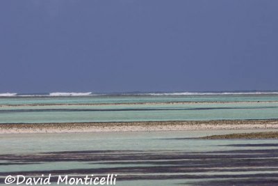 St Joseph Atoll_A8T0428.jpg