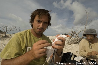 Seychelles - prof. Jaime Ramos and myself at work