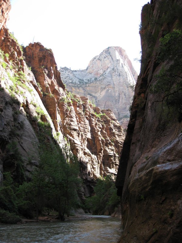 Zion Park Trail