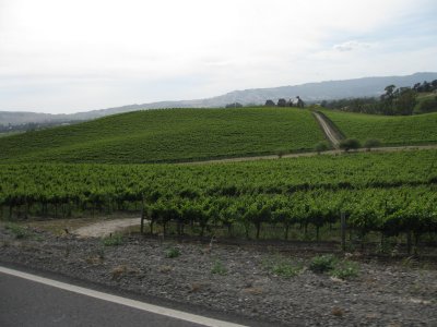 Napa Valley Vineyards