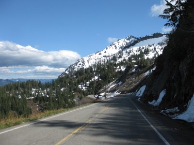 Mount Rainer National Park