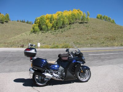 RockiesGold 019a.JPG