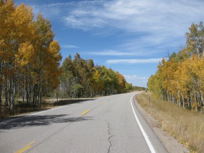 RockiesGold 095a.JPG