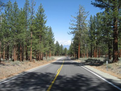 Near Mono lake