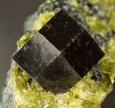 Andradite crystal showing rhomb dodecahedral form.