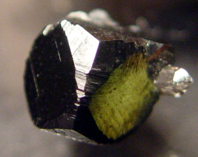 USA Bixbyite showing cube plus trapezohedral trisoctahedron.
