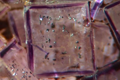 Fluorite cube showing growth zoning and one layer of microsulphide crystals, Seata, Yorkshire