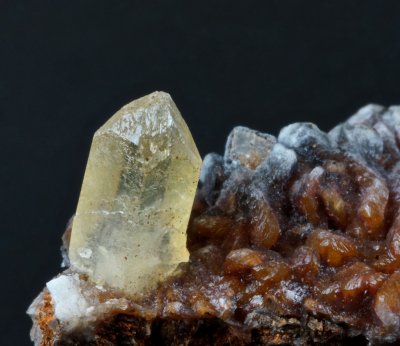 Yellow baryte crystal, 7 mm long, on 2 cm dolomite matrix. Uffeln, Germany.