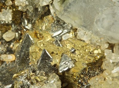 Cavnic Mine chalcopyrite (to 2 cm) and tetrahedrite on 64 mm specimen