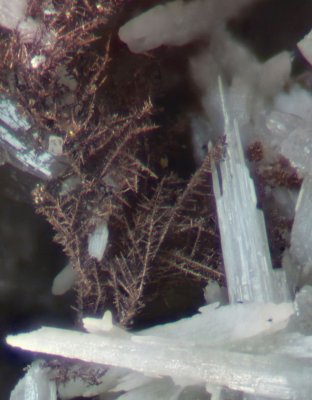 Dendritic native silver on matrix with cerussite crystals to 5 mm on 46 mm matrix. Force Crag Mine, Coledale, Braithwaite, Cumbr