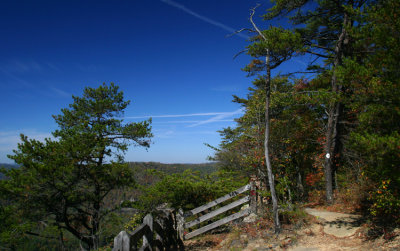 A scene across the canyon  #6