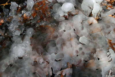 Ground ice formation---March 3, 2009