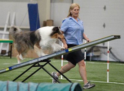 Collie Club of New England Agility Trial 2010