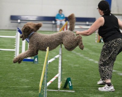 Open Jumpers With Weaves Saturday