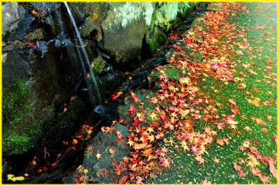DSC_3294.jpg