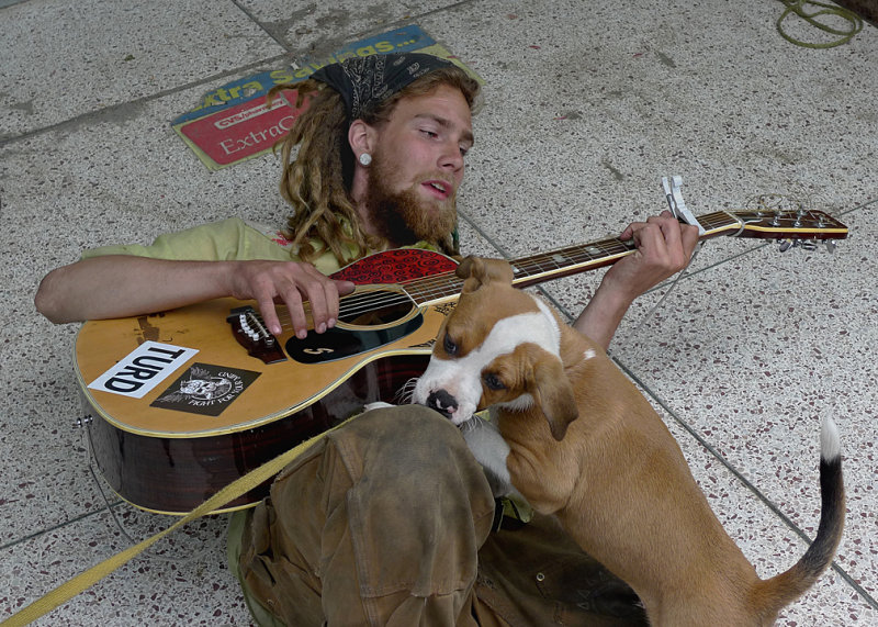 STREET MUSICIAN AND HIS BEST FRIEND  -  ISO 80