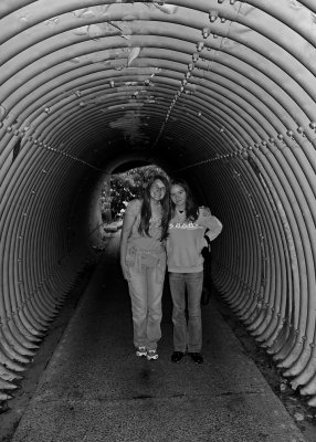 CRADLE OF FORESTRY - INSIDE A TRAIL TUNNEL