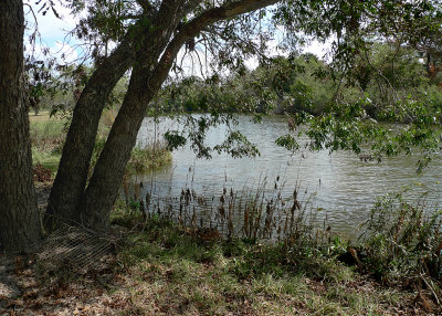 CEDAR BAYOU, NEAR COVE, TEXAS