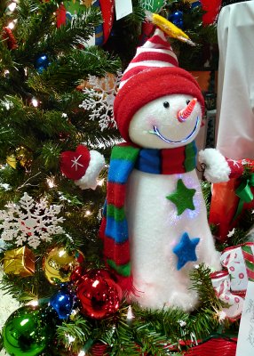 SNOWMAN AT A CRAFTS SHOW - ISO 400