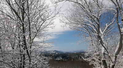 MORNING AFTER THE SNOW STORM