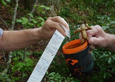 FINDING A GEOCACHE  -  ISO 400