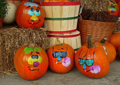 PUMPKINS WITH PERSONALITY  -  ISO 80  -  VIVID COLOR MODE