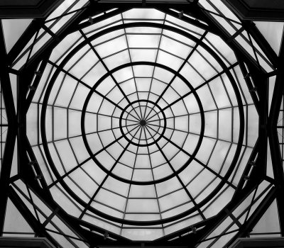 SPIDER DOME  -  ISO 80