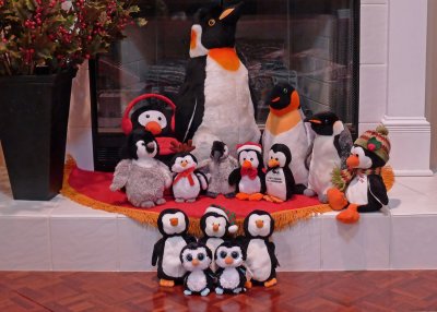 PLUSH PENGUIN COLLECTION  -  ISO 400