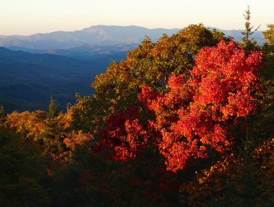 EVENING GLOW ON THE BLUE RIDGE PARKWAY