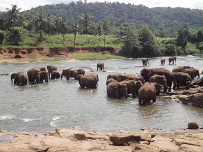 bathing in the river