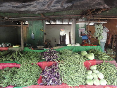 roadside stallk