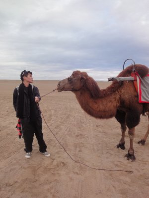 me with camel 1